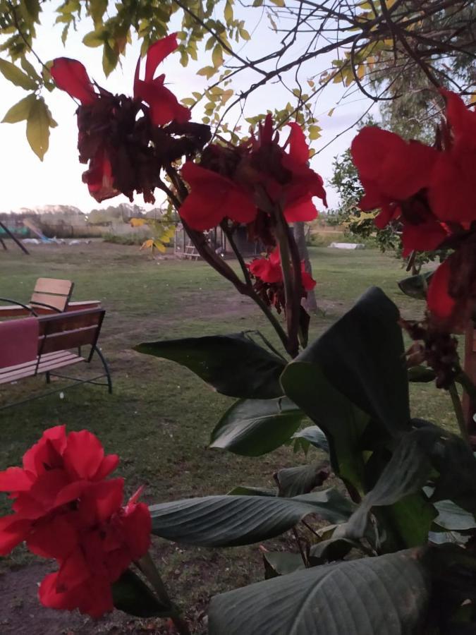 Belén de Escobar Finca La Pasionaria - Conectandonos 빌라 외부 사진